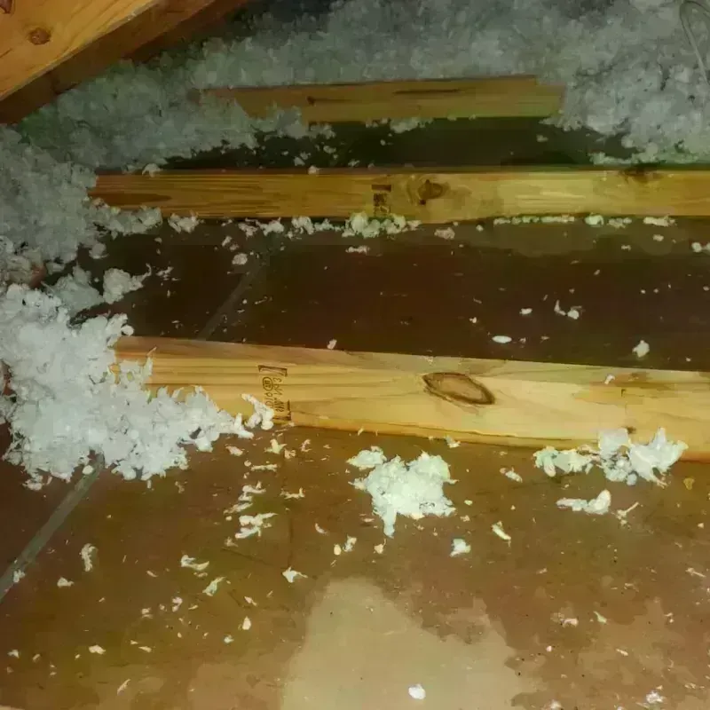 Attic Water Damage in Notre Dame, IN